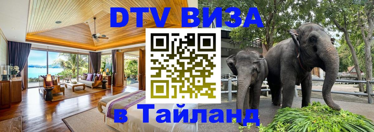 Visa ДТВ Тайланд помощь Новокузнецк 